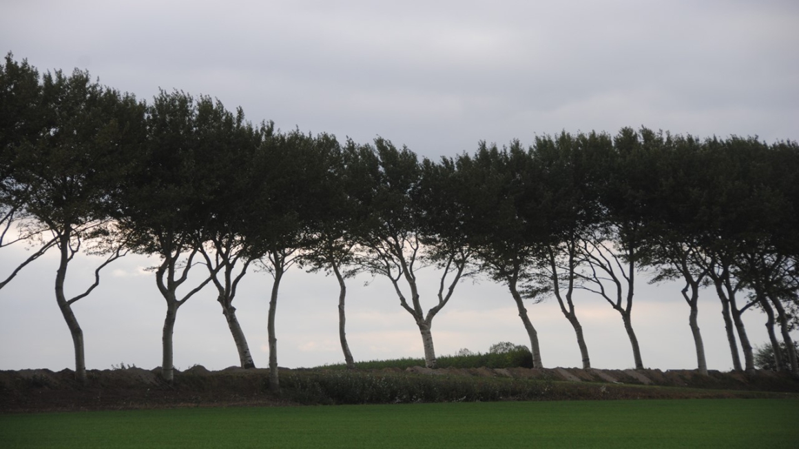 ...opdat Uw levend water opwelt in onze harten, die zich aan uw bron hebben gelaafd, zodat het allen kan laven, die dorsten naar uw liefde en gerechtigheid